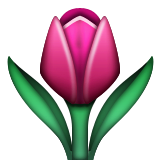 Emoji Natur-66